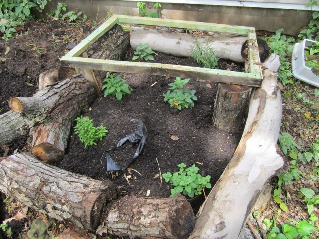 new herb bed